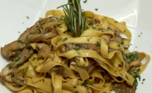vichi-funghi-campionigratis.info_