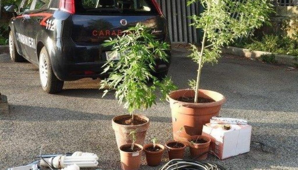 eur-furto-energia-e-coltivazione-marijuana-2
