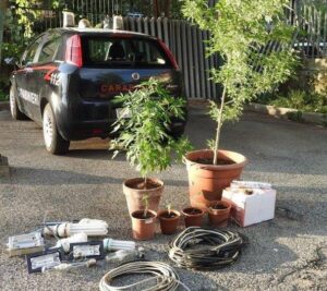 eur-furto-energia-e-coltivazione-marijuana-2 eur-furto-energia-e-coltivazione-marijuana-2