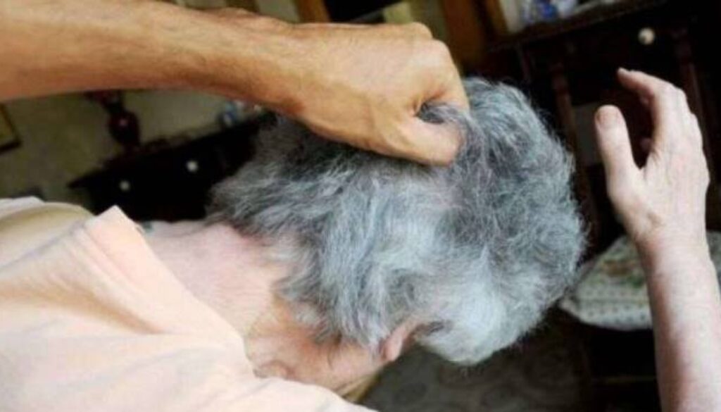 picchiano-e-rapinano-una-85-enne-in-casa-alleur