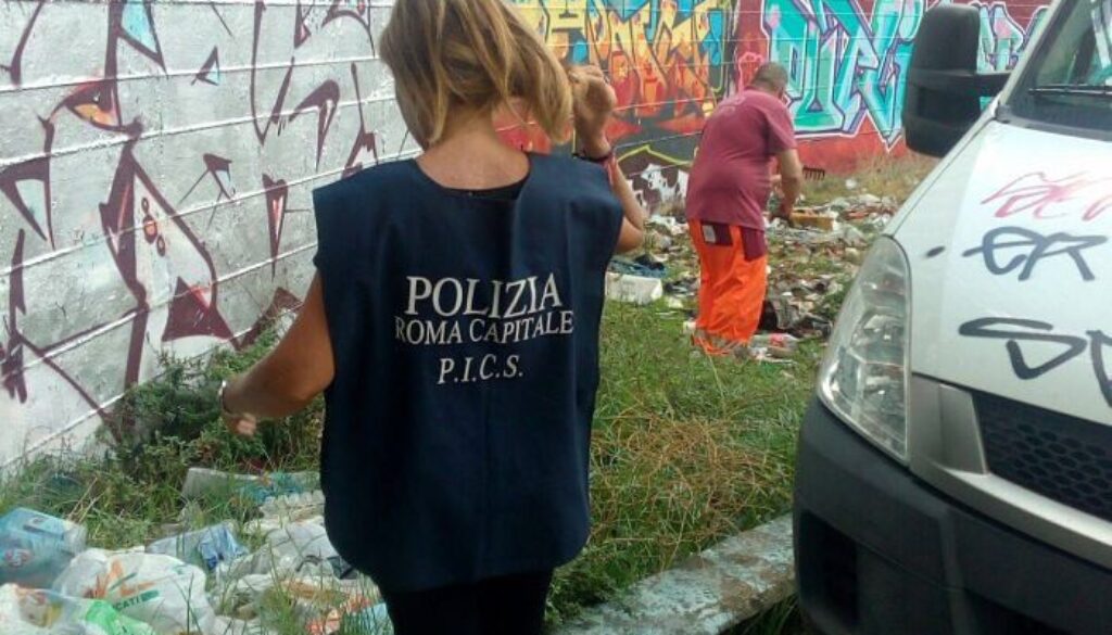 Interventi di pulizia PICS AMA