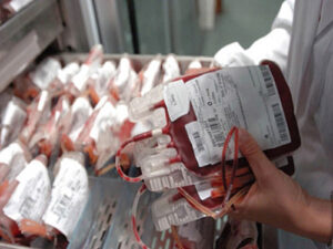 sangue