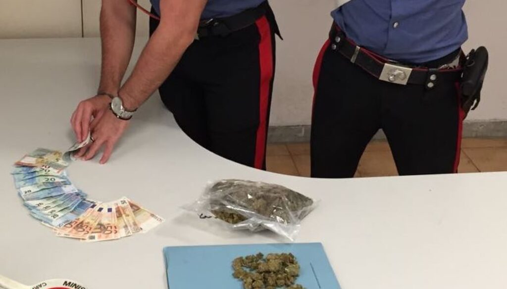 eur-la-droga-sequestrata-dai-carabinieri-1