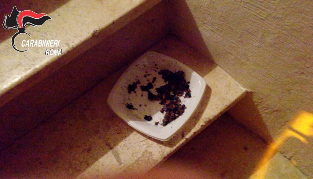 il-cibo-per-gatti-con-il-veleno