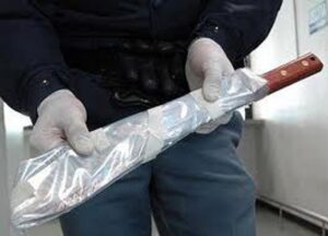 aggredisce-il-nipote-a-colpi-di-machete-a-castel-gandolfo