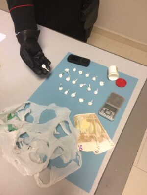 eur-la-droga-sequestrata-dai-carabinieri-durante-i-blitz-5