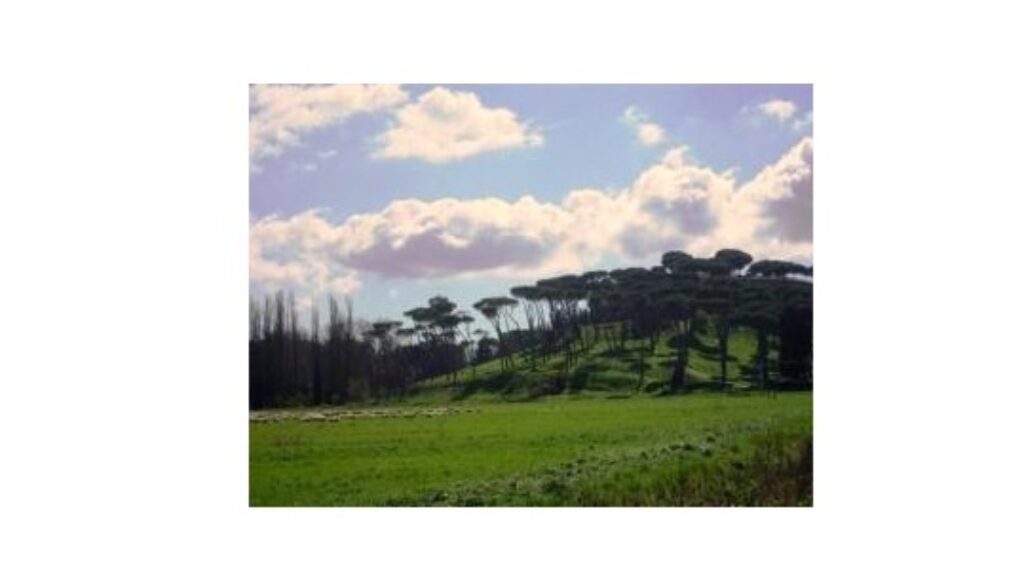 ardeatina-santa-palomba-riqualificazione