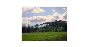 ardeatina-santa-palomba-riqualificazione