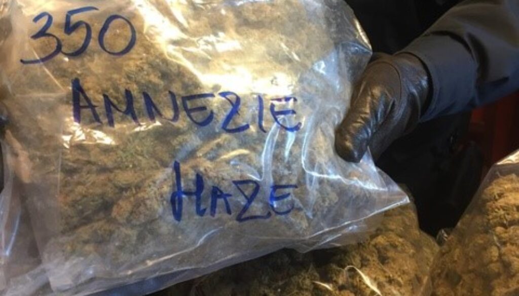 parte-dei-75-kg-di-droga-sequestrati-dai-carabinieri-13