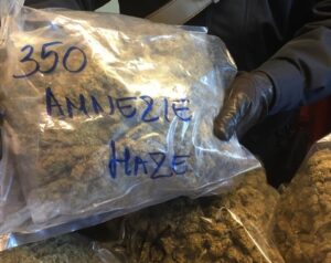 parte-dei-75-kg-di-droga-sequestrati-dai-carabinieri-13