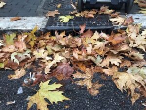 strade-pulite-don-bosco-falcetti