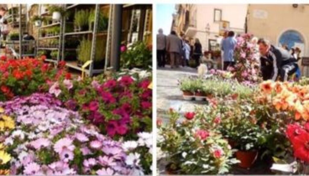 albanoinfiore_settimaedizione