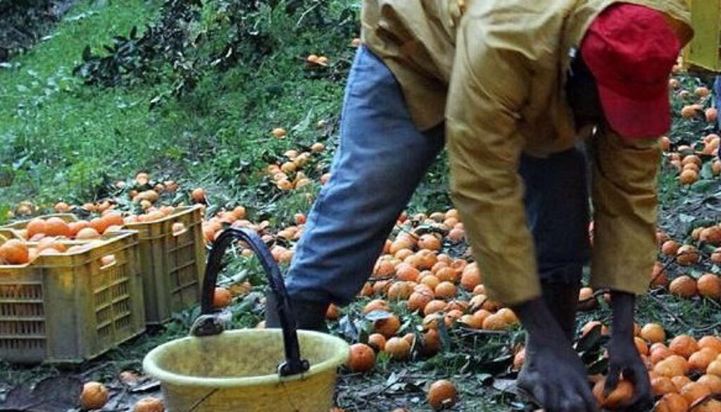 caporalato.jpg