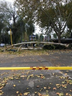 WhatsApp Image 2017-11-13 at 12.54.38 (1) WhatsApp Image 2017-11-13 at 12.54.38 (1)