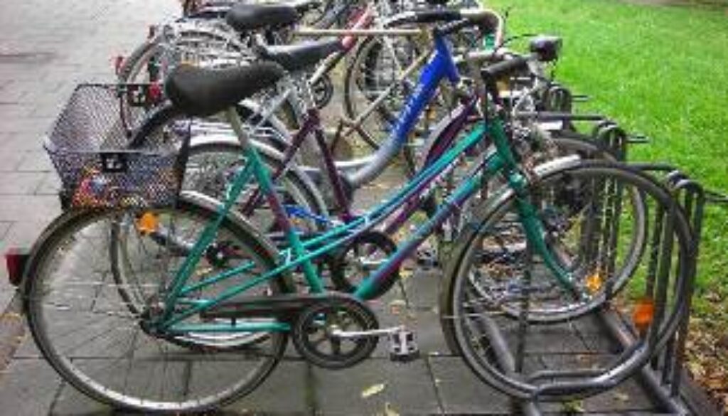 bici_mo2_d0