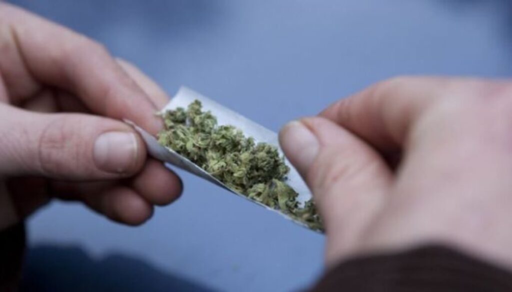 cannabis.jpg