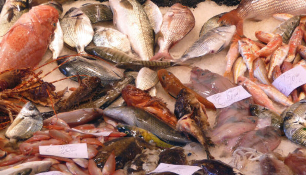 pesce.jpg