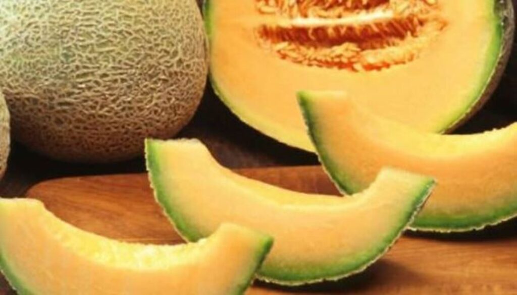 melone.jpg melone.jpg