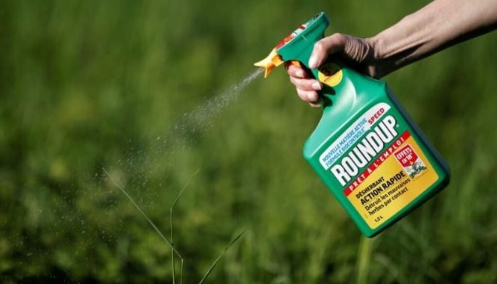 monsanto.jpg