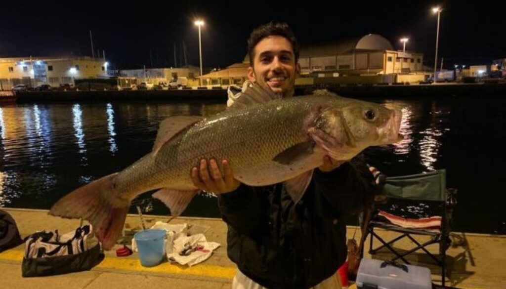 frankie.jpg frankie.jpg