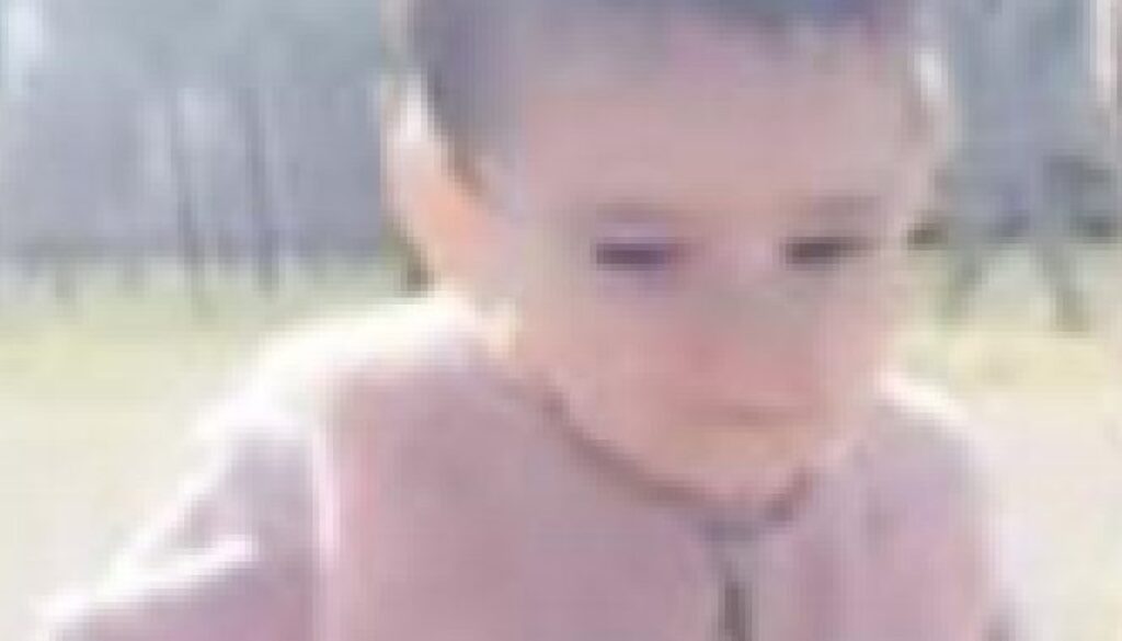 1586244440_incidente.bambino.jpg 1586244440_incidente.bambino.jpg