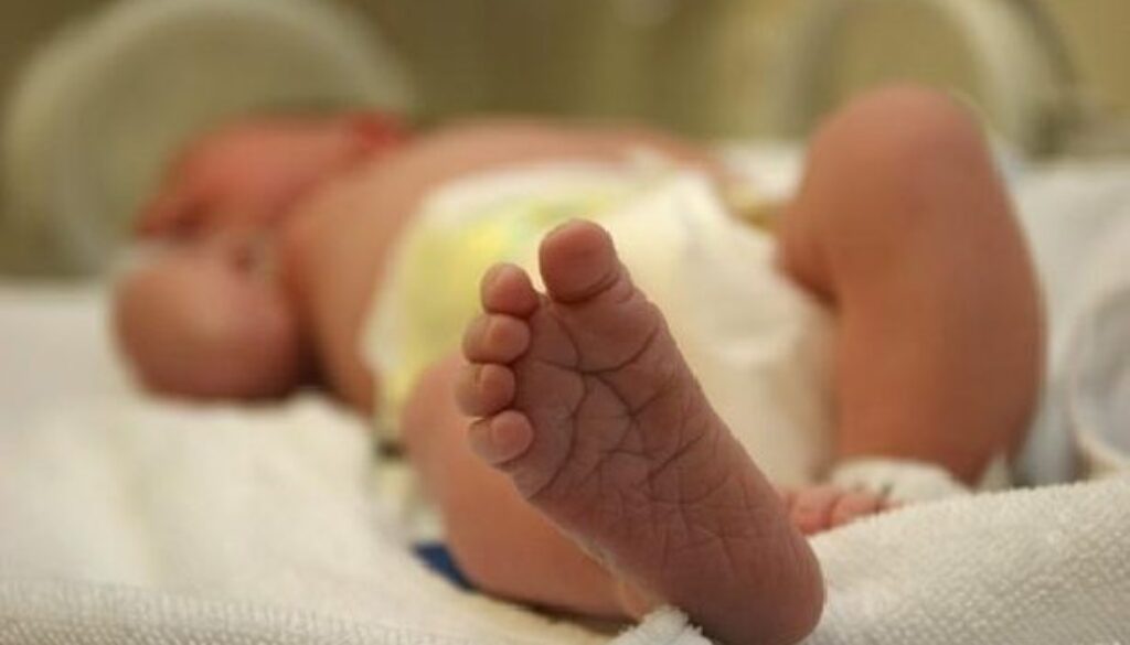 neonato.jpg neonato.jpg