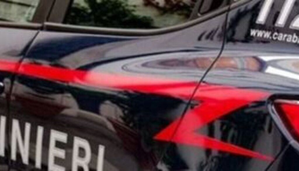 femminicidio-in-calabria-uccisa-a-coltellate-fermato-un-36enne