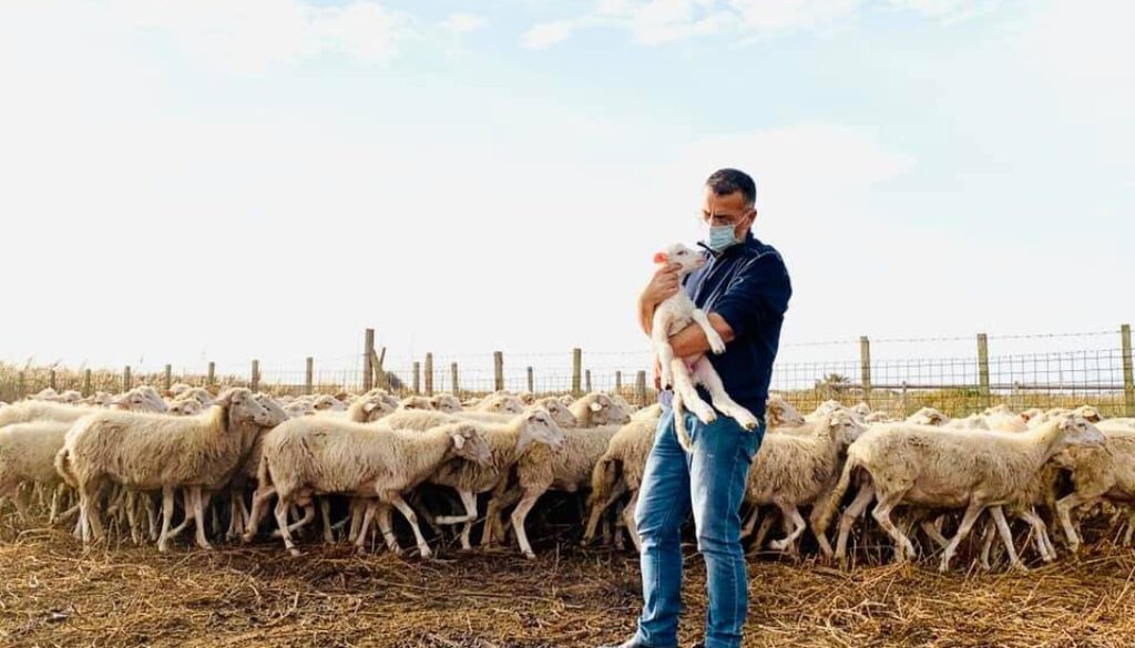 pastore.jpg pastore.jpg