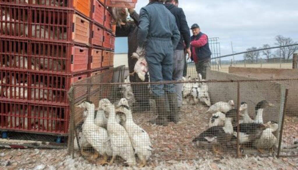 unnamed-1.jpg unnamed-1.jpg