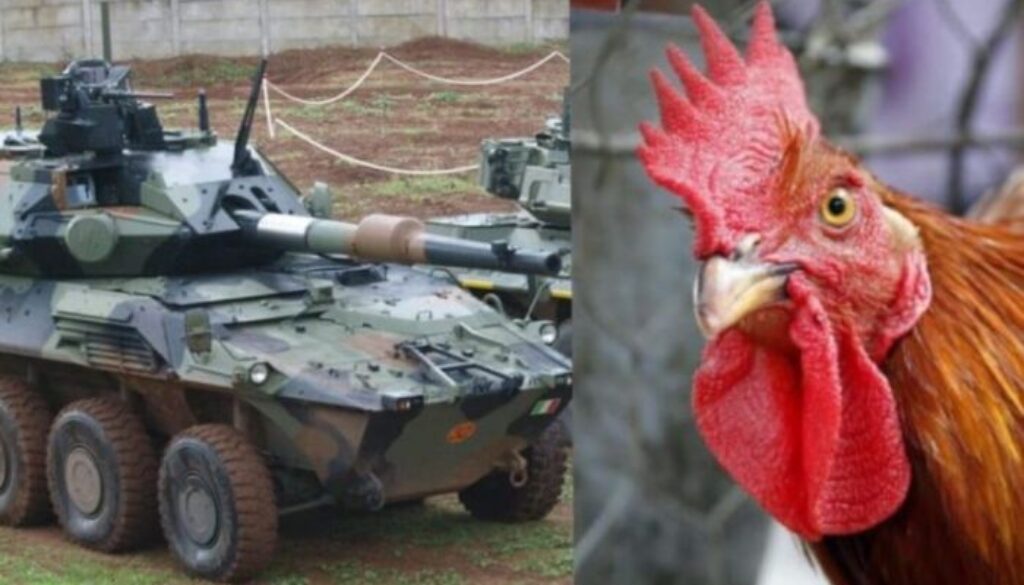 carro-pollo.jpg carro-pollo.jpg