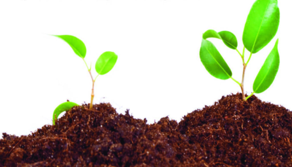 Progetto-Germogli-Loc.jpeg Progetto-Germogli-Loc.jpeg