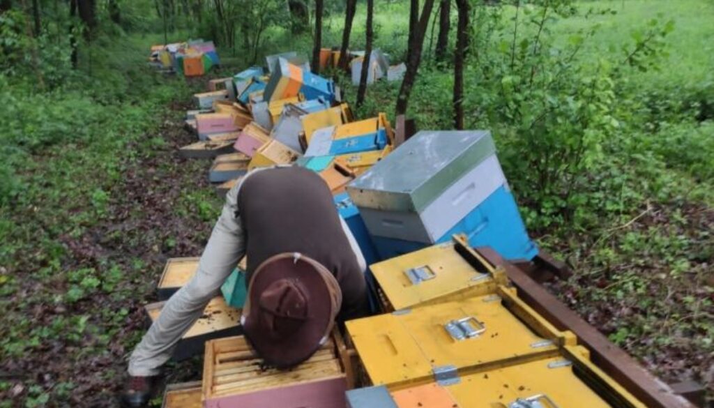 landra.jpeg landra.jpeg