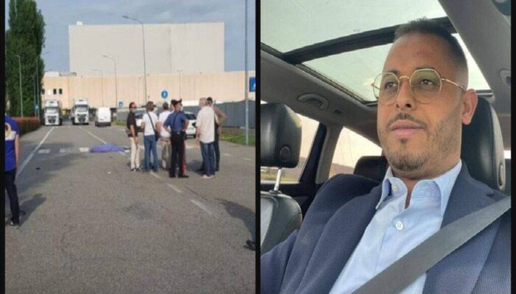 Ribbet-collage.jpg Ribbet-collage.jpg