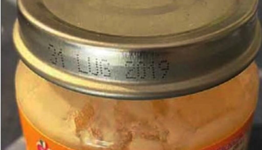 omogeneizzato.jpeg omogeneizzato.jpeg