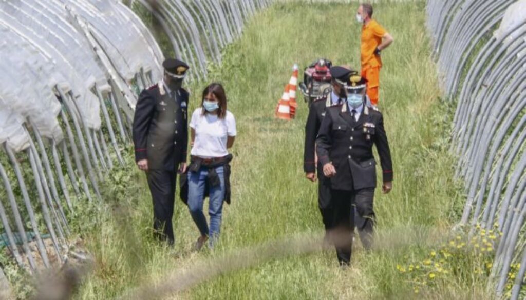 ricerche-saman-novellara.jpg ricerche-saman-novellara.jpg