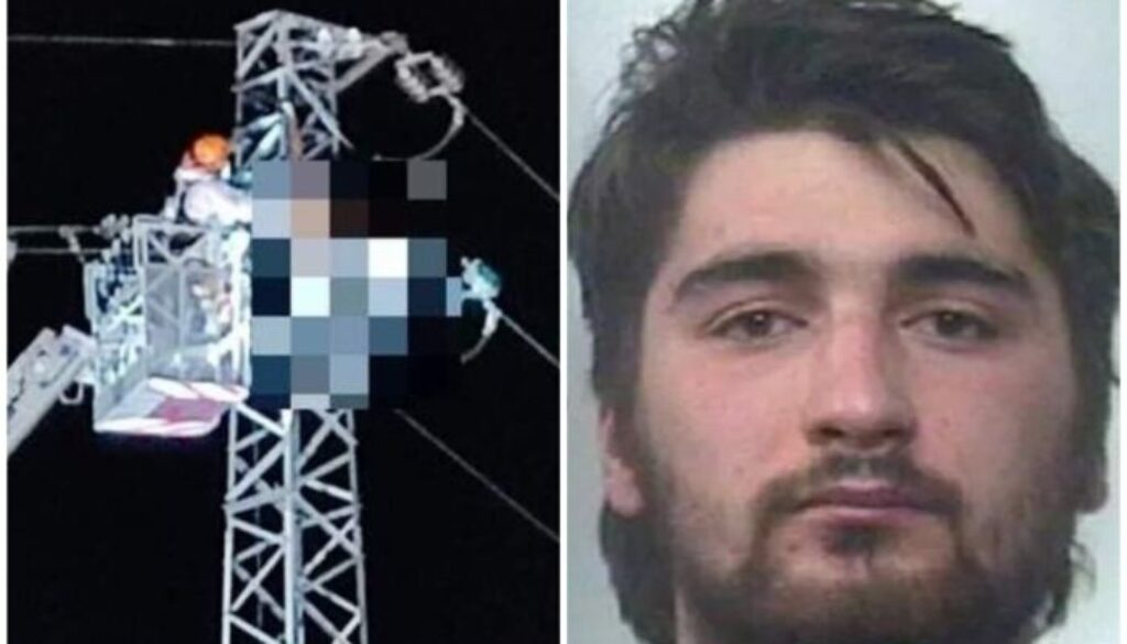 collage.jpeg collage.jpeg