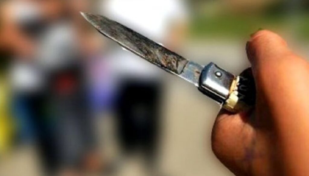 coltello-6-2-3-650x412-1.jpg