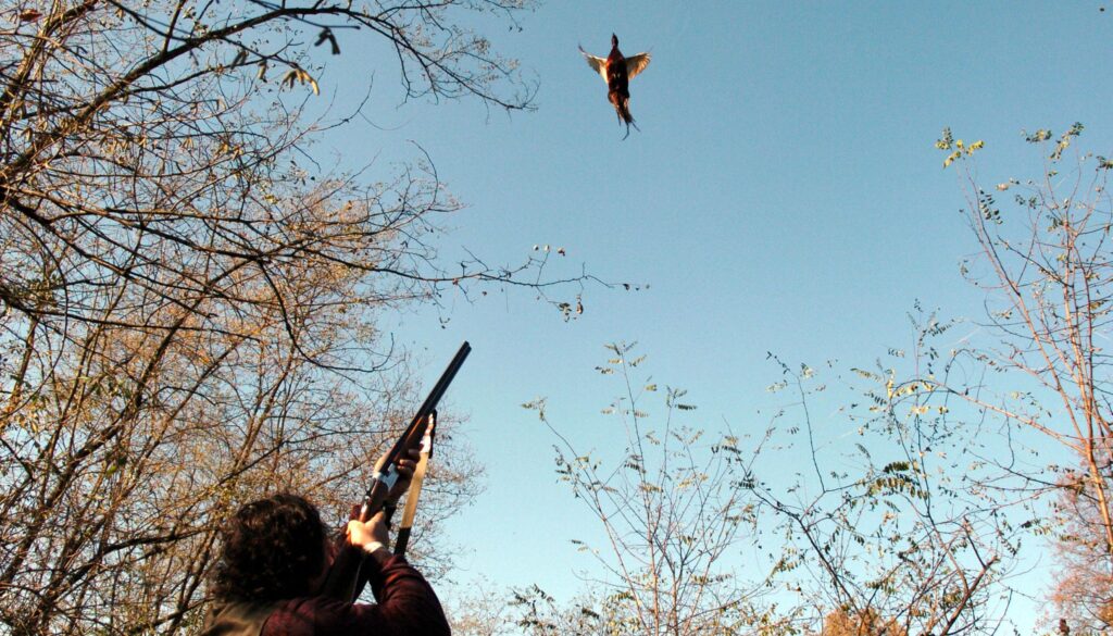 cacciatore.jpg cacciatore.jpg