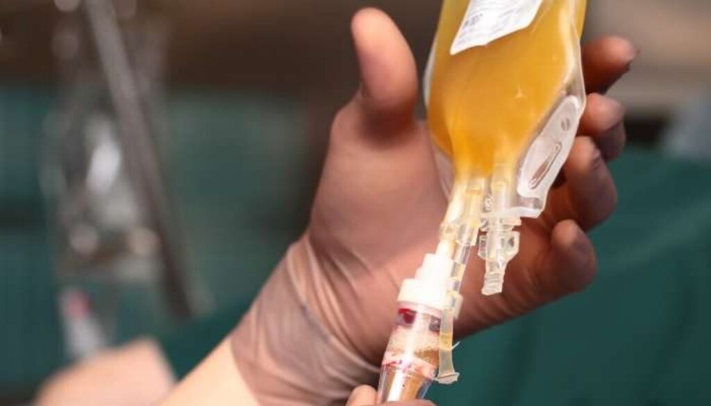 donazione-plasma.jpeg