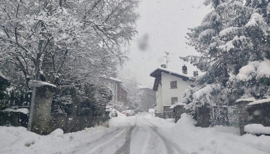 neve.jpg