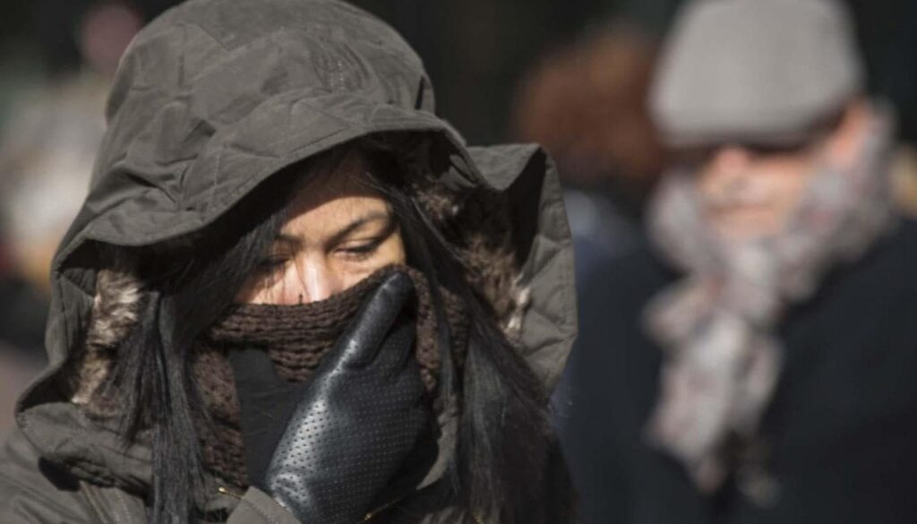 1641790471_freddo-3.jpeg 1641790471_freddo-3.jpeg