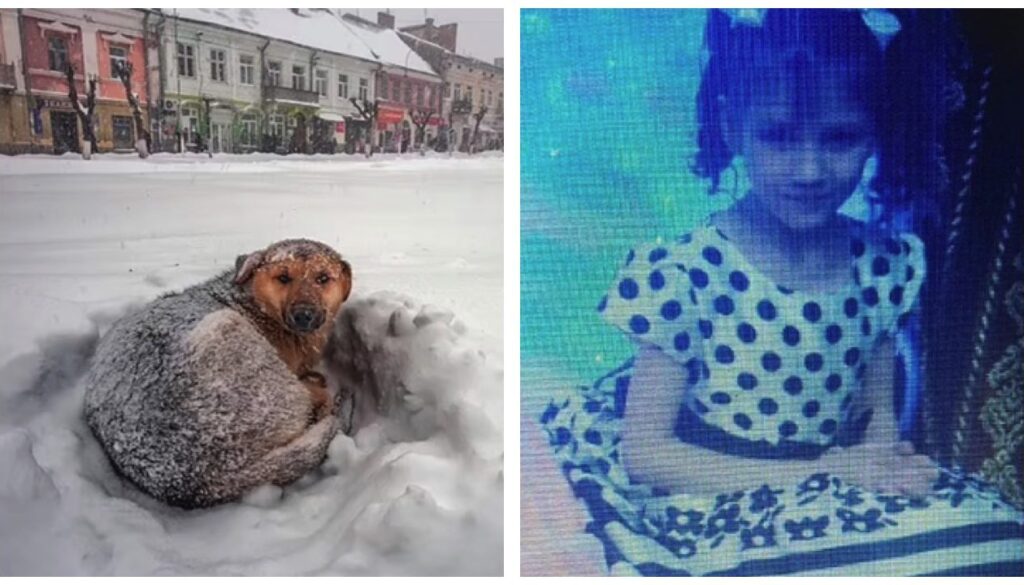 bimba-neve-cane.jpg bimba-neve-cane.jpg