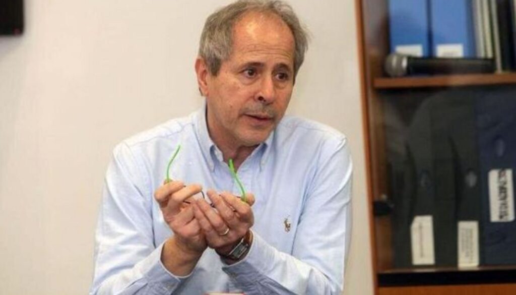 crisanti.jpg crisanti.jpg