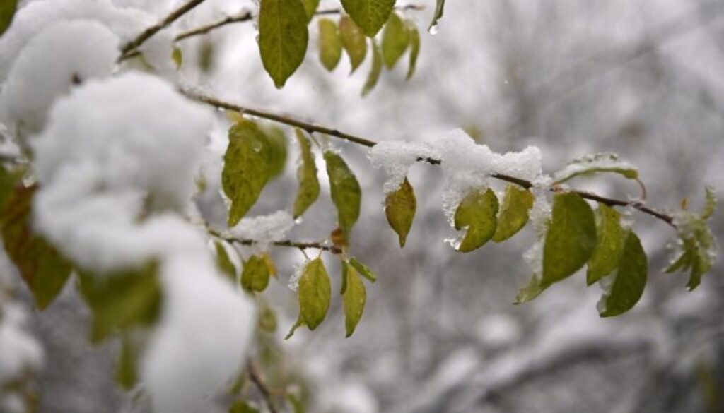 previsioni-meteo-24-gennaio-gelate-e-neve-fino-a-bassa-quota-venti-freddi-e-temperature-in-calo previsioni-meteo-24-gennaio-gelate-e-neve-fino-a-bassa-quota-venti-freddi-e-temperature-in-calo