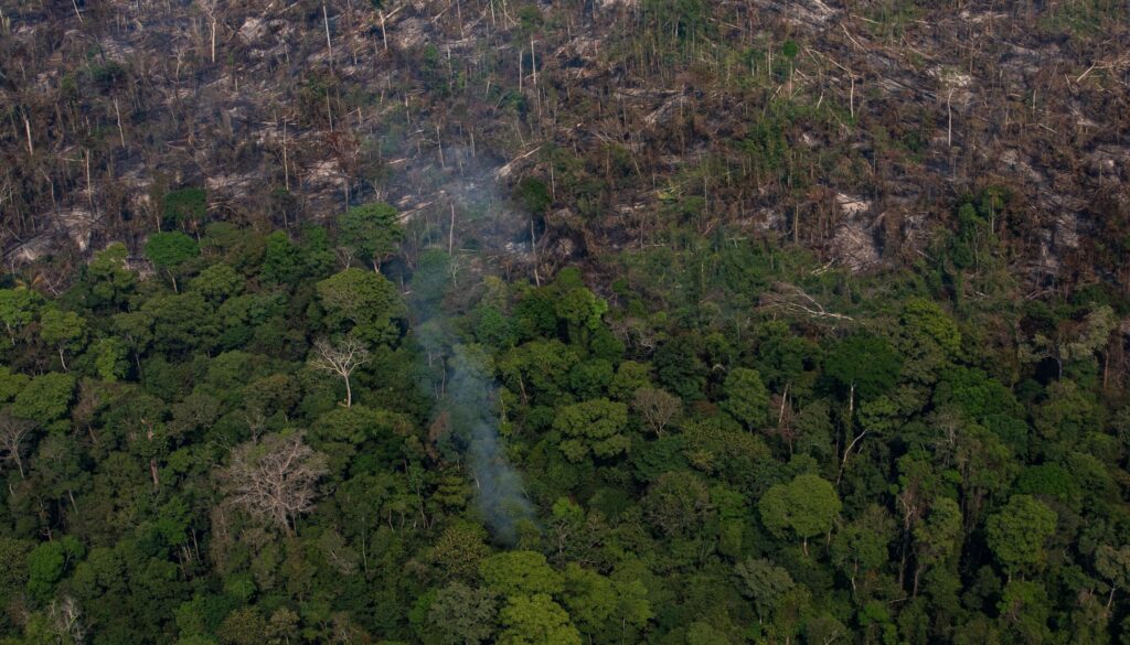 amazzonia.jpg