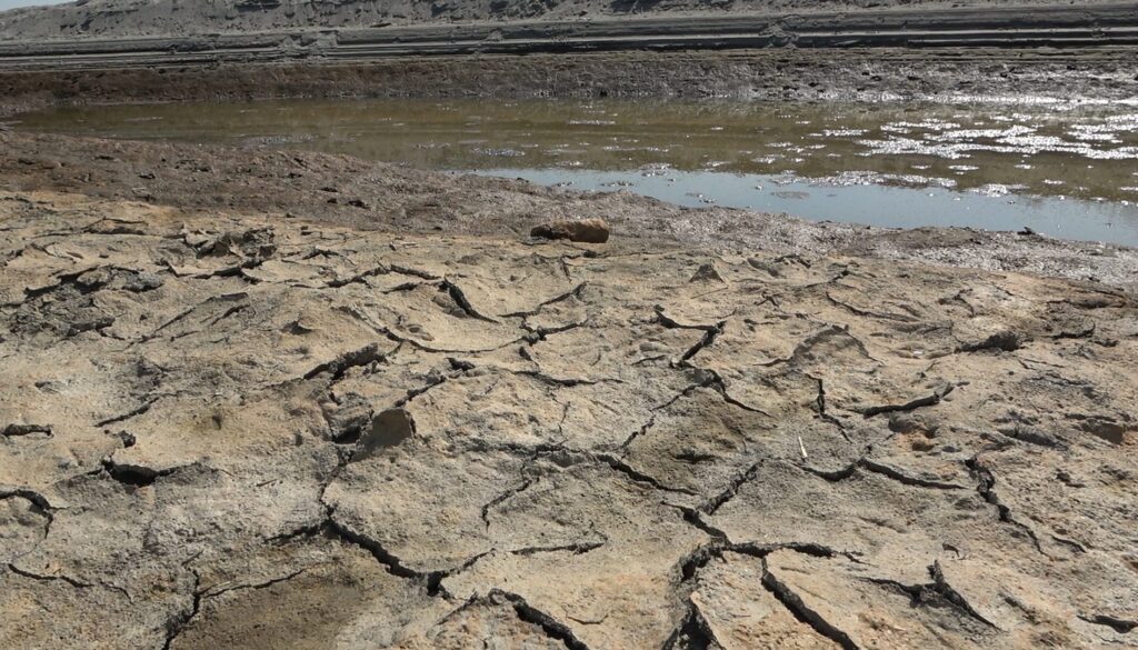 C0052.00_00_01_01.Immagine002.jpg C0052.00_00_01_01.Immagine002.jpg