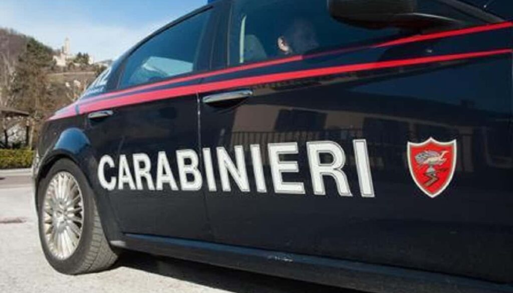 carabinieri_ansa-1-1.jpeg carabinieri_ansa-1-1.jpeg