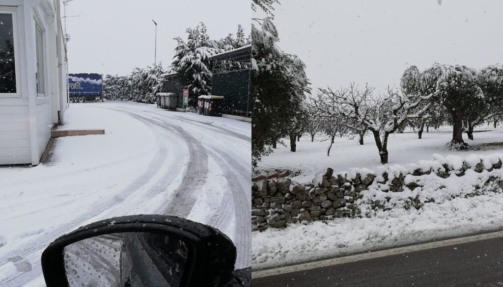 neve-puglia-combo.jpg neve-puglia-combo.jpg