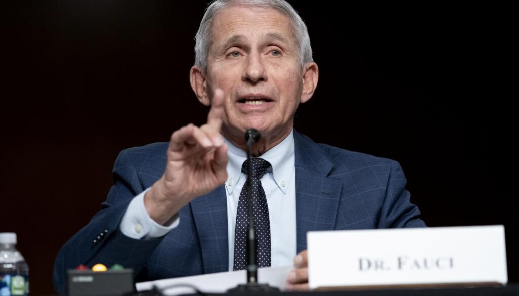 fauci.jpg