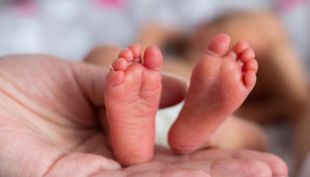 1655747401_prematuri_900x760-1650649316298.jpg-martano__tenta_di_uccidere_la_figlia_neonata_e_nasconde_il_cadavere_di_un_altro_feto_sotto_il_letto.jpg 1655747401_prematuri_900x760-1650649316298.jpg-martano__tenta_di_uccidere_la_figlia_neonata_e_nasconde_il_cadavere_di_un_altro_feto_sotto_il_letto.jpg